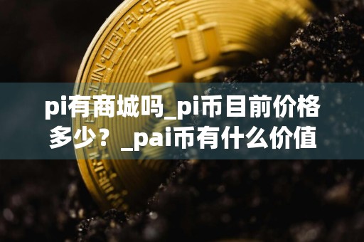 pi有商城吗_pi币目前价格多少？_pai币有什么价值