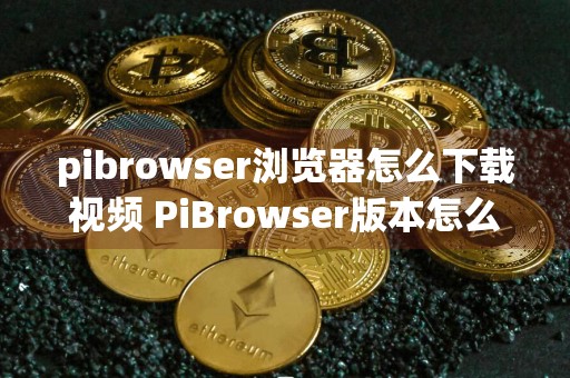 pibrowser浏览器怎么下载视频 PiBrowser版本怎么更新？