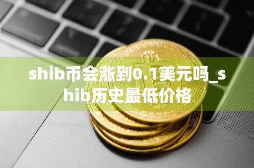 shib币会涨到0.1美元吗_shib历史最低价格