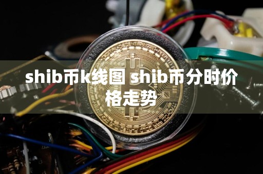 shib币k线图 shib币分时价格走势