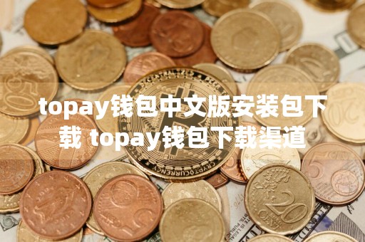 topay钱包中文版安装包下载 topay钱包下载渠道