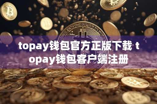 topay钱包官方正版下载 topay钱包客户端注册