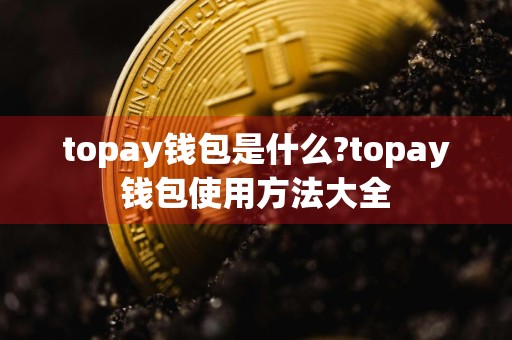 topay钱包是什么?topay钱包使用方法大全