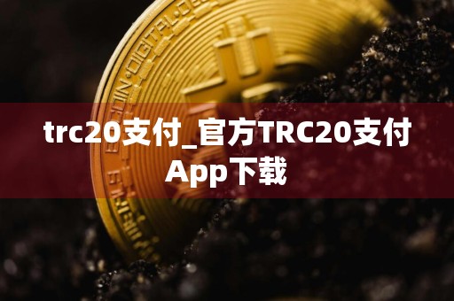 trc20支付_官方TRC20支付App下载