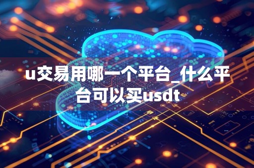 u交易用哪一个平台_什么平台可以买usdt