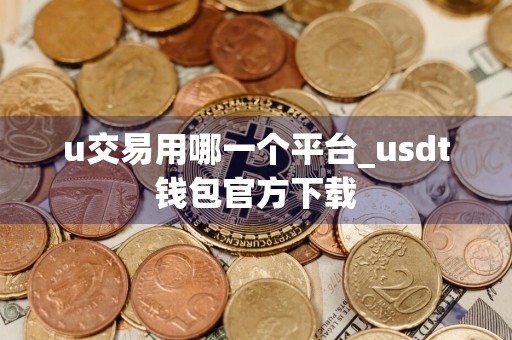 u交易用哪一个平台_usdt钱包官方下载