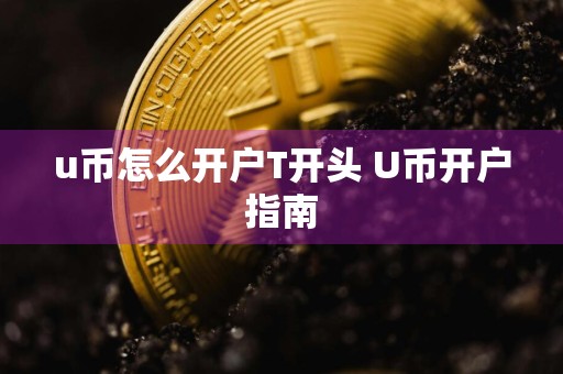 u币怎么开户T开头 U币开户指南