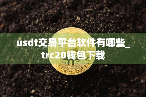 usdt交易平台软件有哪些_trc20钱包下载