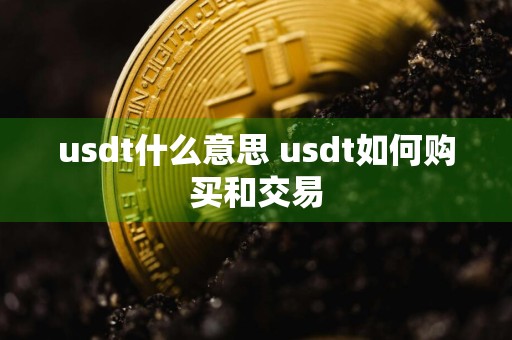 usdt什么意思 usdt如何购买和交易