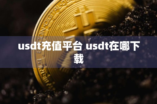 usdt充值平台 usdt在哪下载