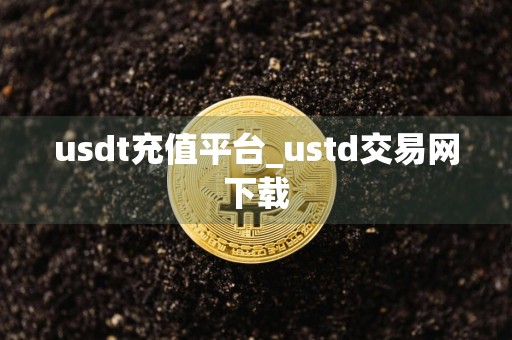 usdt充值平台_ustd交易网下载