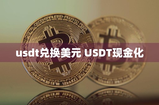 usdt兑换美元 USDT现金化