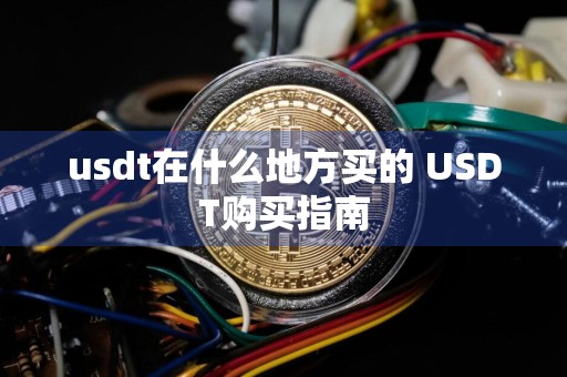 usdt在什么地方买的 USDT购买指南