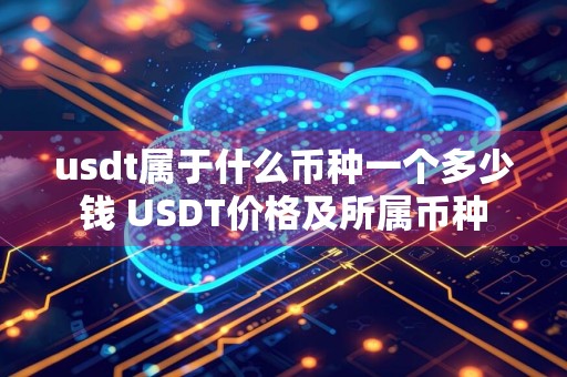 usdt属于什么币种一个多少钱 USDT价格及所属币种