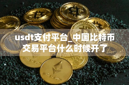 usdt支付平台_中国比特币交易平台什么时候开了