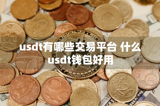 usdt有哪些交易平台 什么usdt钱包好用