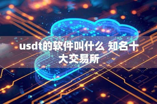 usdt的软件叫什么 知名十大交易所