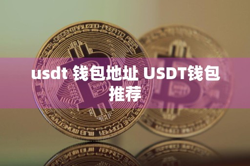 usdt 钱包地址 USDT钱包推荐